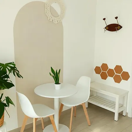 Le Albarelle Nocleg ze śniadaniem Alba (Piedmont)