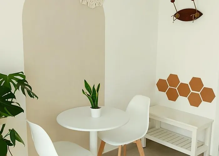 Le Albarelle Bed & Breakfast Alba (Piedmont)